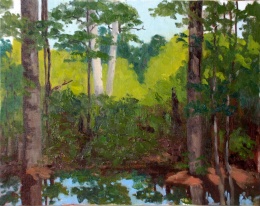 Okefenokee Swamp