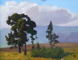 Waikoloa Road