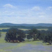 Llano Bluebonnets
