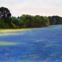 Bristol Bluebonnets