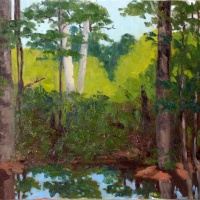Okefenokee Swamp