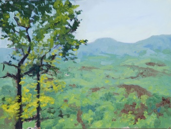 Amicalola1.jpg Amicalola1.jpg