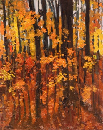 autumnforestweb.jpg