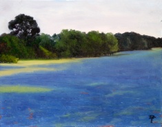 Bristol Bluebonnets