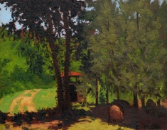 Hog Heaven