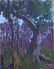Barataria Barataria