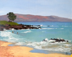 Makena Beach Makena Beach
